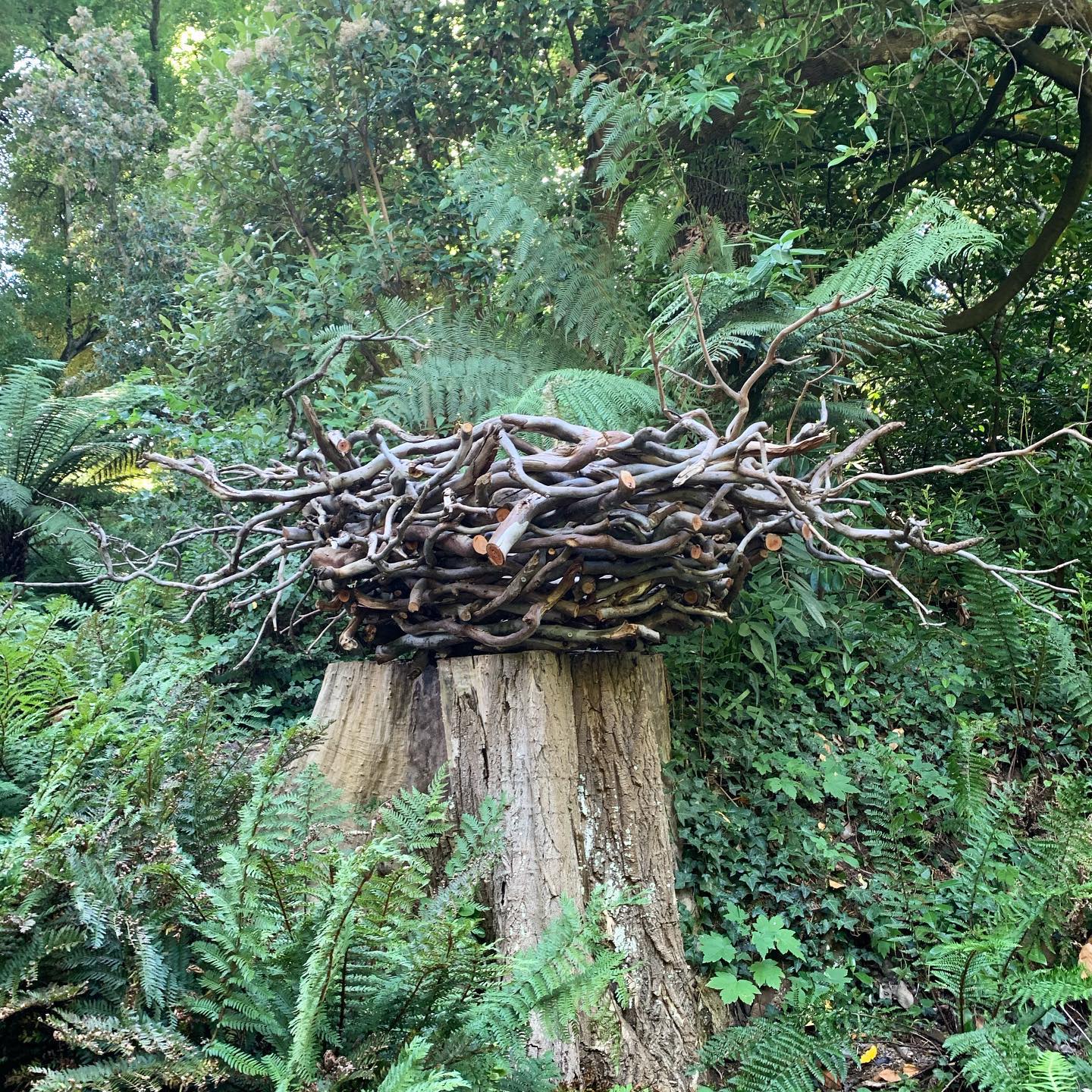 Wombat Hill Botanical Gardens, Daylesford